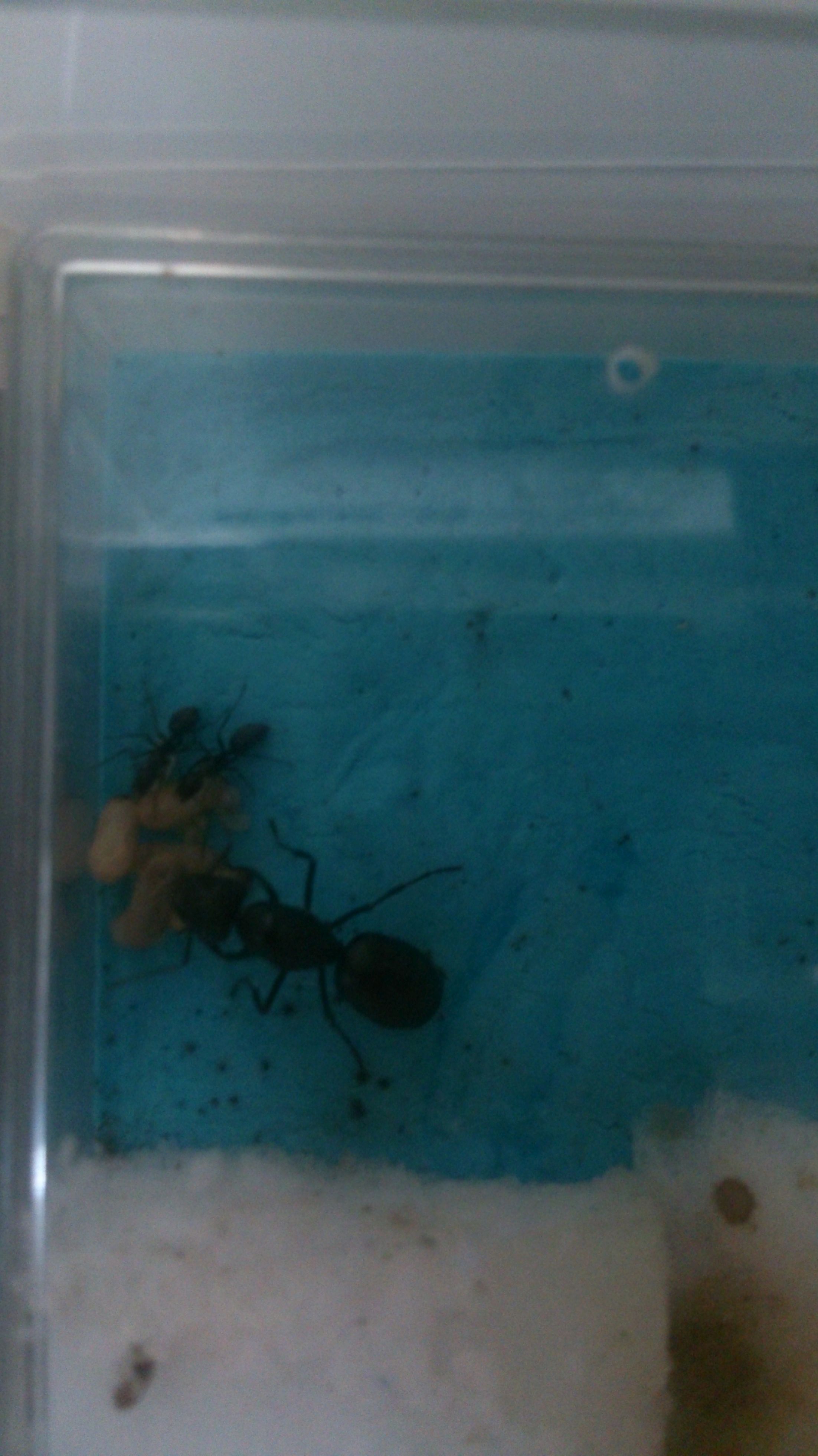 20150630061622.jpg