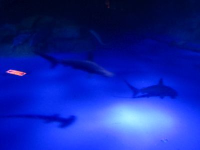 20160522163610.JPG