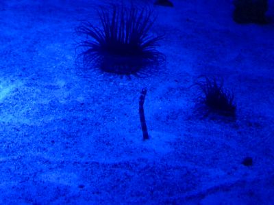 20160522164535.JPG