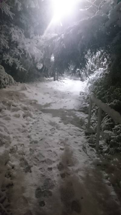 20180122182330.jpg